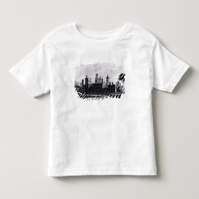 Smithsonian institution från de södra väster tee (Framsida)