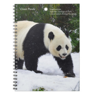 Smithsonian   jättePandas i snön Anteckningsbok Med Spiral