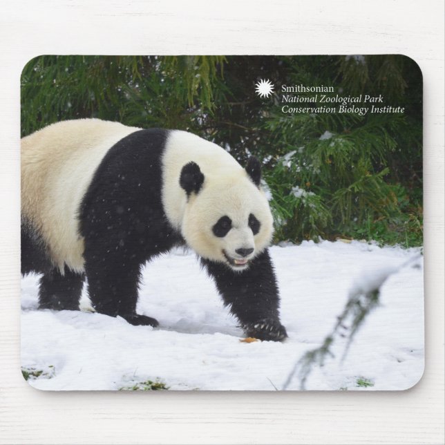 Smithsonian | jättePandas i snön Musmatta (Framsidan)