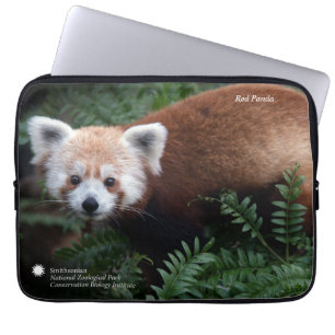 Smithsonian   röd Panda Laptop Sleeve