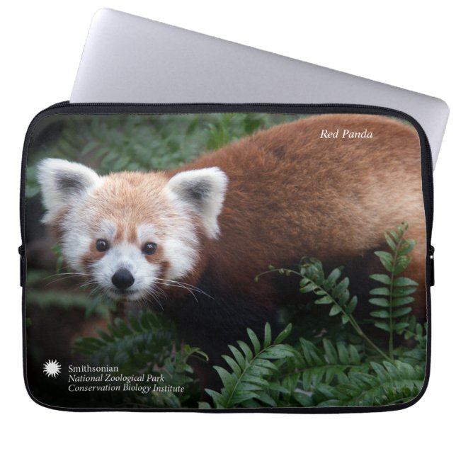 Smithsonian | röd Panda Laptop Sleeve (Framsidan)