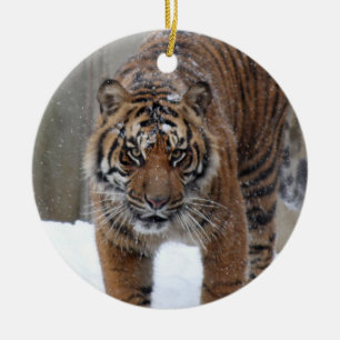 Smithsonian   Sumatran tiger Damai Julgransprydnad Keramik