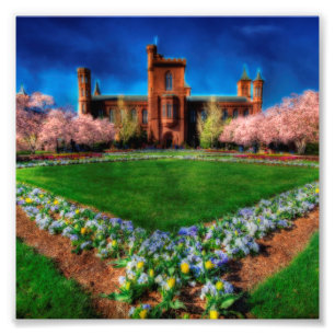 Smithsonic Castle Garden Cherry Blommars Fototryck