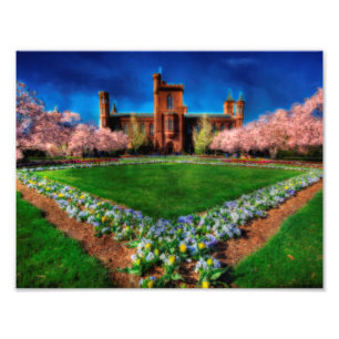 Smithsonic Castle Garden Cherry Blommars Fototryck