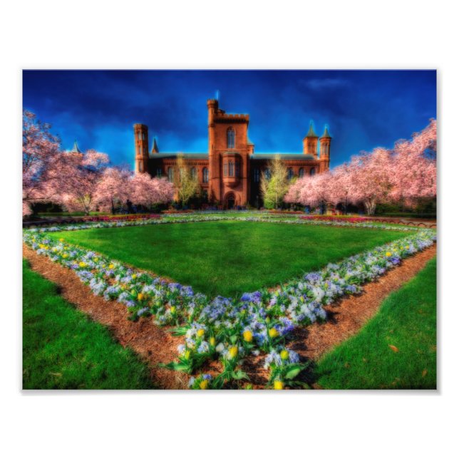 Smithsonic Castle Garden Cherry Blommars Fototryck (Framsidan)