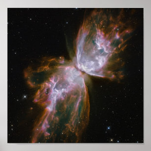 Smittflugan dyker upp från Stellar Demise på plane Poster