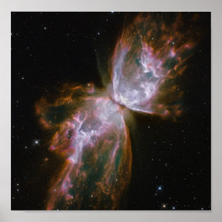 Smittflugan dyker upp från Stellar Demise på plane Poster