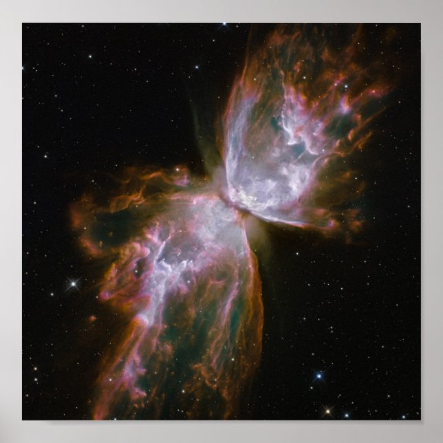 Smittflugan dyker upp från Stellar Demise på plane Poster (Framsidan)