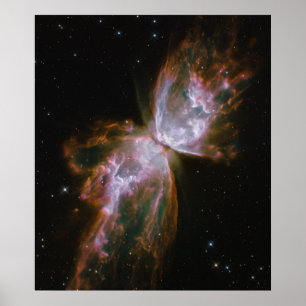 Smittflugan dyker upp från Stellar Demise på plane Poster