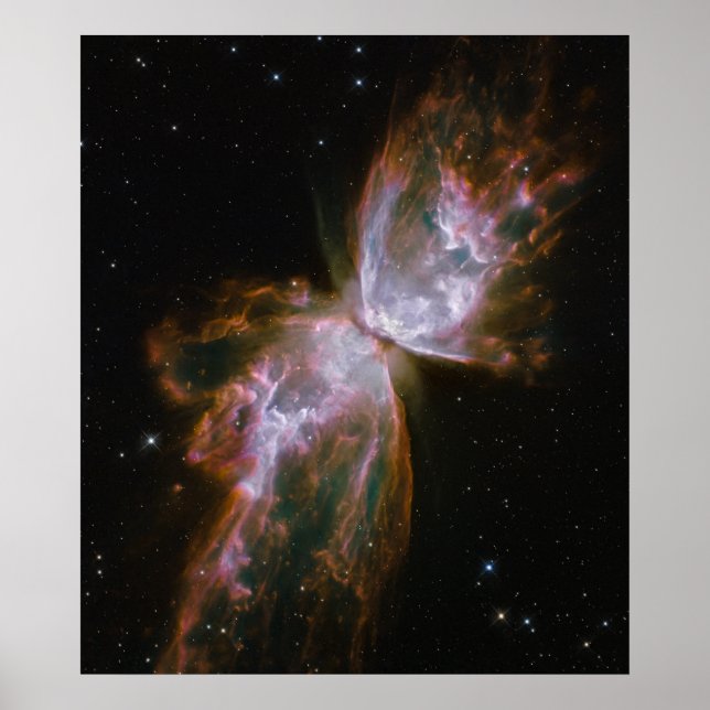 Smittflugan dyker upp från Stellar Demise på plane Poster (Framsidan)