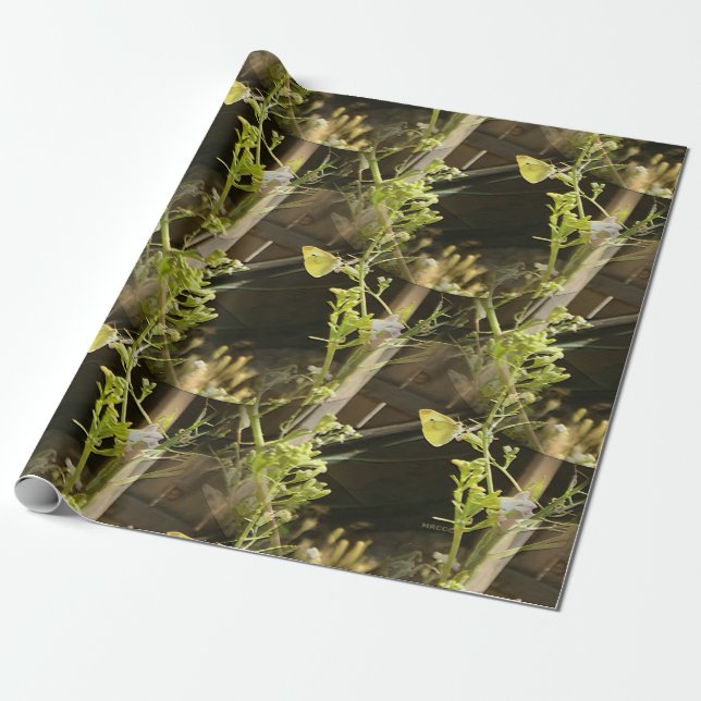 Smittflugor i kärlek.... presentpapper (Utrullad)