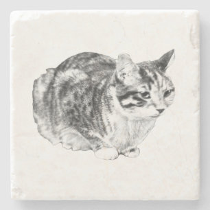 Smittgalleri: Tabby på Cushion Stenunderlägg