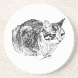 Smittgalleri: Tabby på Cushion Underlägg
