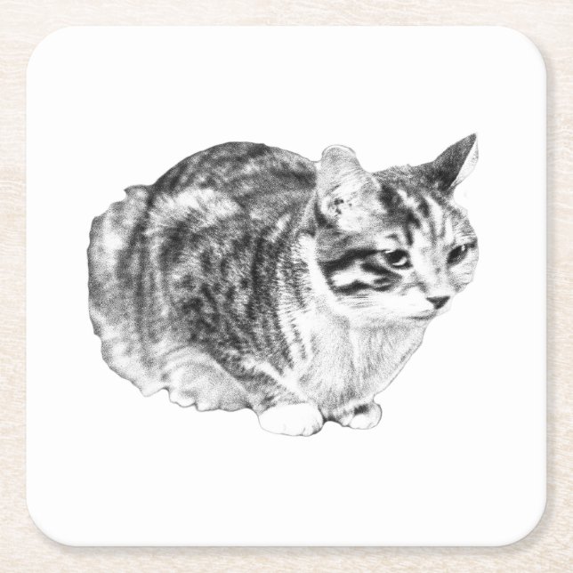 Smittgalleri: Tabby på Cushion Underlägg Papper Kvadrat (Framsidan)