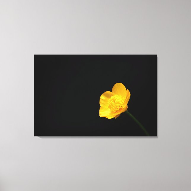 Smittkoppsblomma, 36 x 24 (90 x 60 cm)-waccna canvastryck (Framsida)