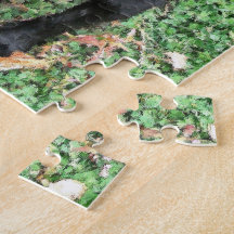 Smokey Posof for Camera Puzzle