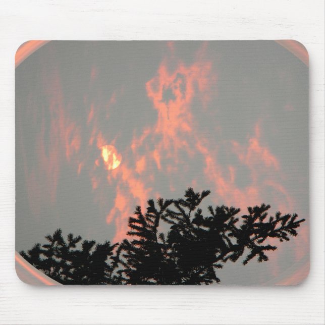 Smokey Sol.... Musmatta (Framsidan)