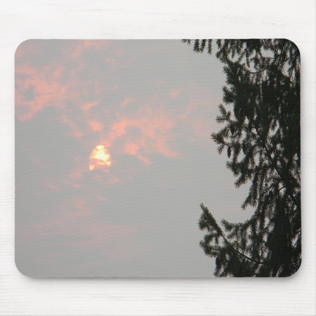 Smokey Sol... Musmatta (Framsidan)