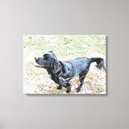 Smokey väntar på att få gå canvastryck