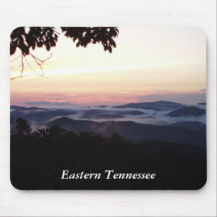 Smokies östliga Tennessee Musmatta
