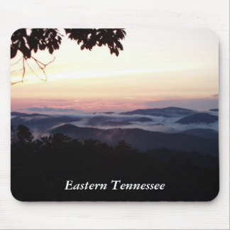 Smokies östliga Tennessee Musmatta