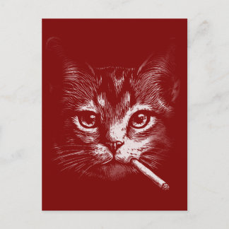 Smoking Cat Funny  Vykort