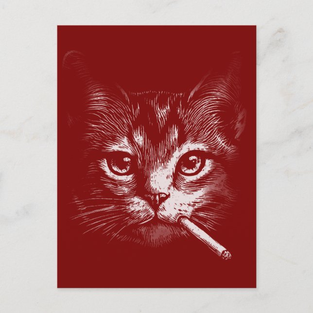Smoking Cat Funny  Vykort (Framsida)