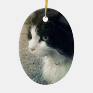 Smokingkatt Julgransprydnad Keramik