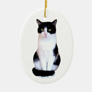 Smokingkatt Julgransprydnad Keramik