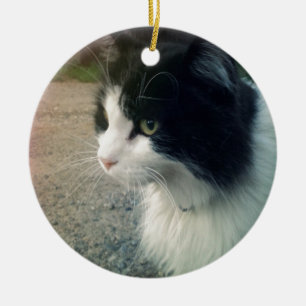 Smokingkatt Julgransprydnad Keramik