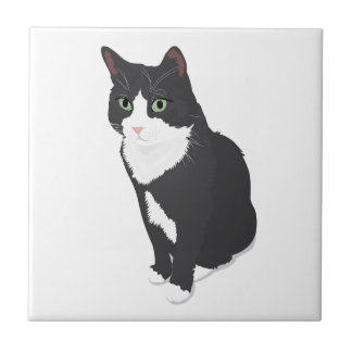 Smokingkatt Kakelplatta