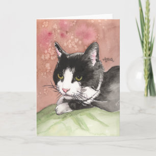 Smokingkatt Meddelande