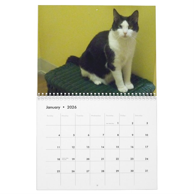 Smokingkatt "Molly ", Kalender (Jan 2026)