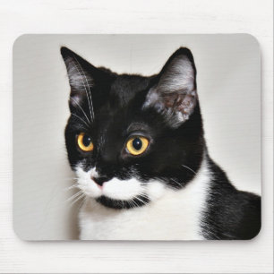 Smokingkatt Musmatta