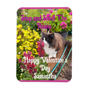 Smokingkatt sniffar på blommor Roligt Alla Hjärtan Magnet