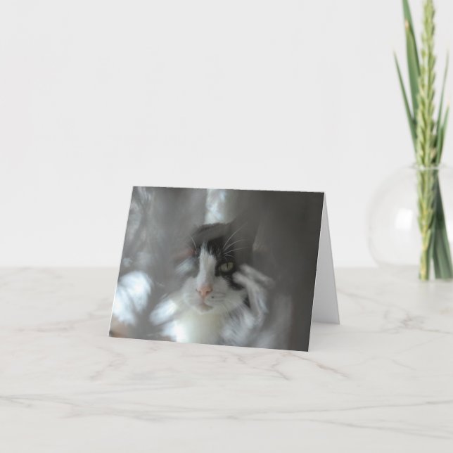 Smokingkatt till och med grenar helgkort (Framsida)