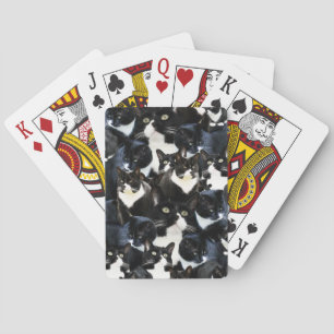 Smokingkattnoja Spel Kort