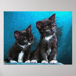 smokingkattungar poster