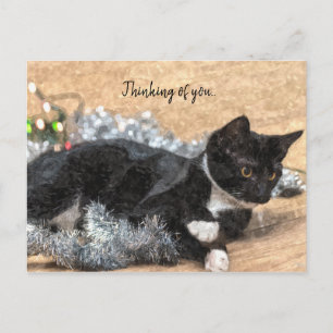 Smokingskitten Glitter och Ljusslinga Tänker på Di Vykort