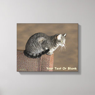 Smoky Grått Tabby katt Canvastryck