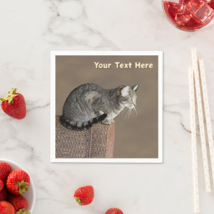 Smoky Grått Tabby katt Pappersservett