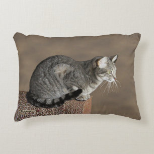 Smoky Grått Tabby katt Prydnadskudde
