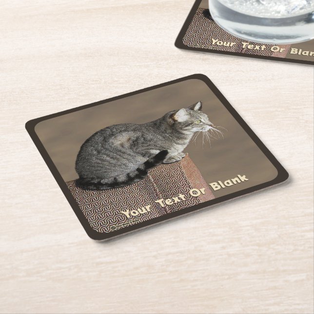 Smoky Grått Tabby katt Underlägg Papper Kvadrat (Vinklad)