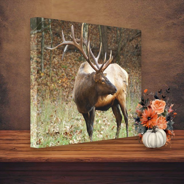 Smoky Mountain Elk Canvas (Skapare uppladdad)