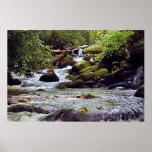 Smoky Mountain Stream - GSMNP Poster