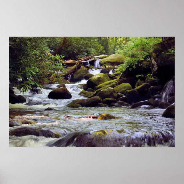 Smoky Mountain Stream - GSMNP Poster (Framsidan)