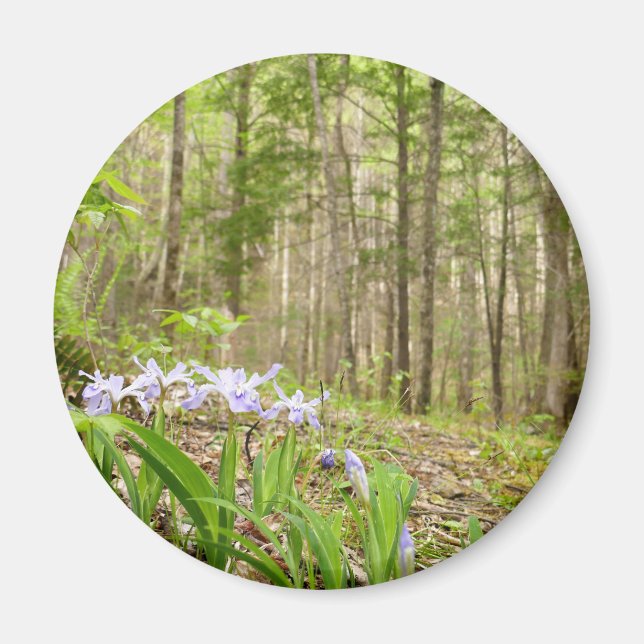 Smoky Mountain Trail in Spring Magnet (Framsidan)