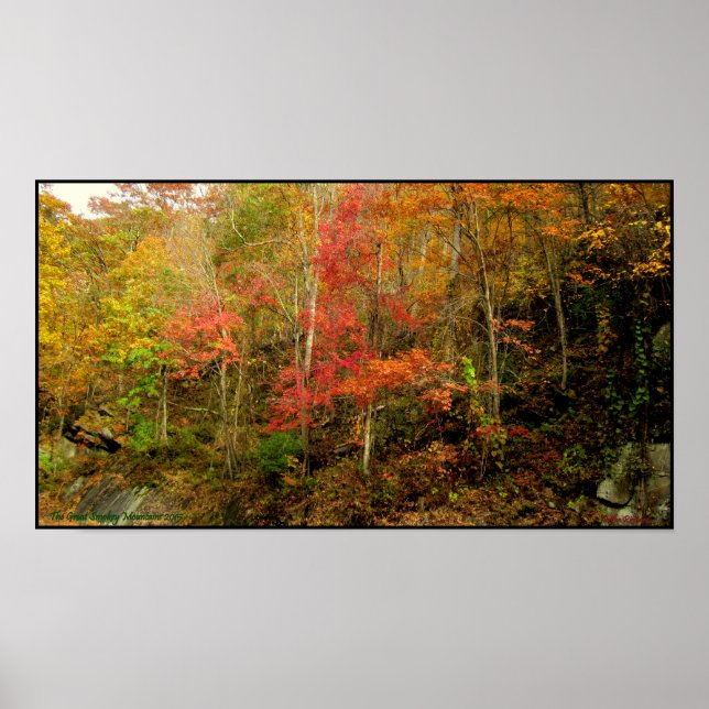 Smoky Mountains Tennessee i Fall Poster (Framsidan)