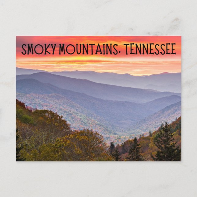 Smoky Mountains Tennessee Postcard Souvenir Vykort (Framsida)