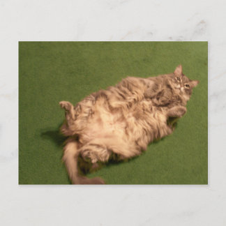 Smoochie Girl's Daily Kattunge Yoga Vykort